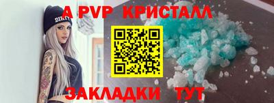 стаф Шебекино