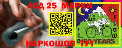 стаф Шебекино