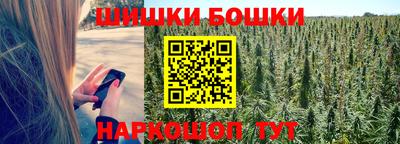 скорость Шелехов