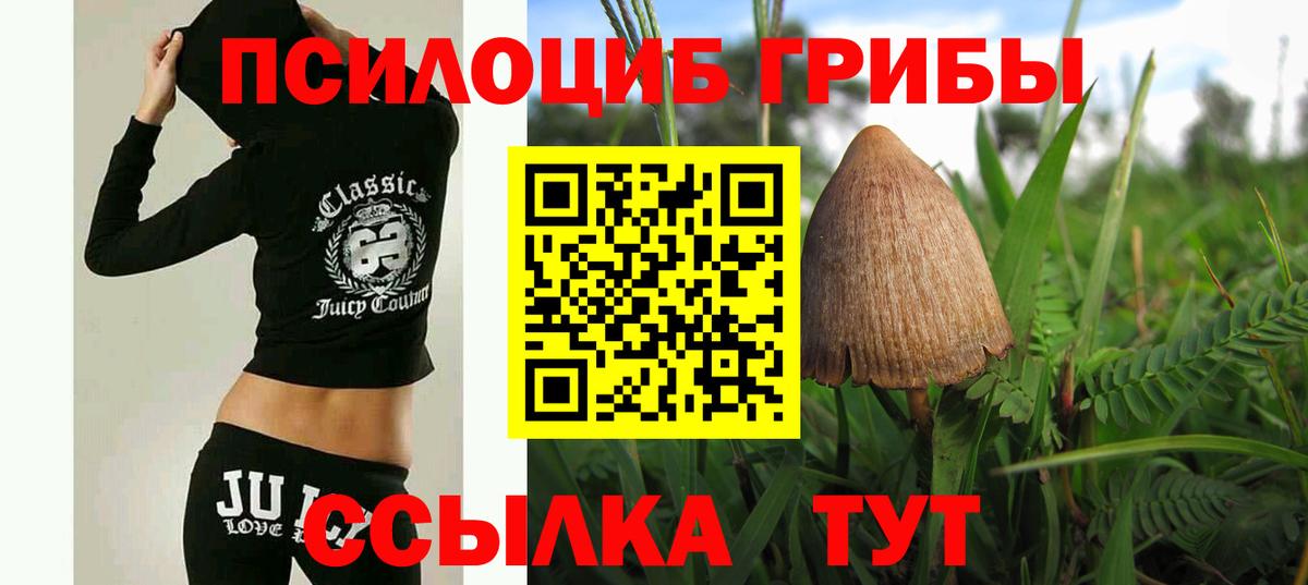 Псилоцибиновые грибы Magic Shrooms Тында