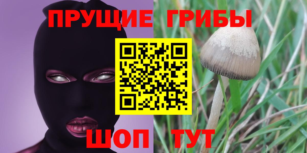 Тында  Псилоцибиновые грибы MAGIC MUSHROOMS  Вход с VPN 